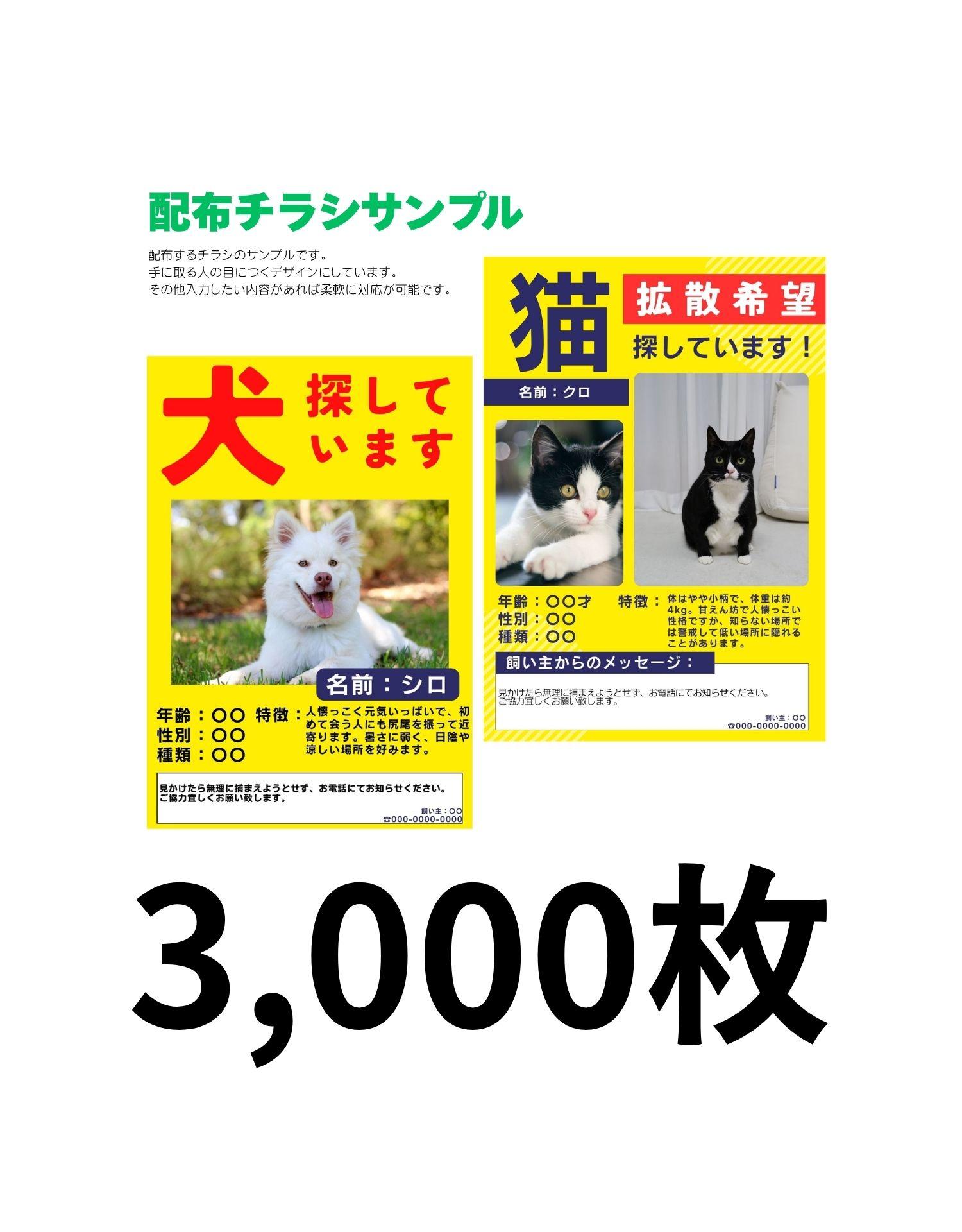エリア拡大コース（3,000枚）の商品画像
