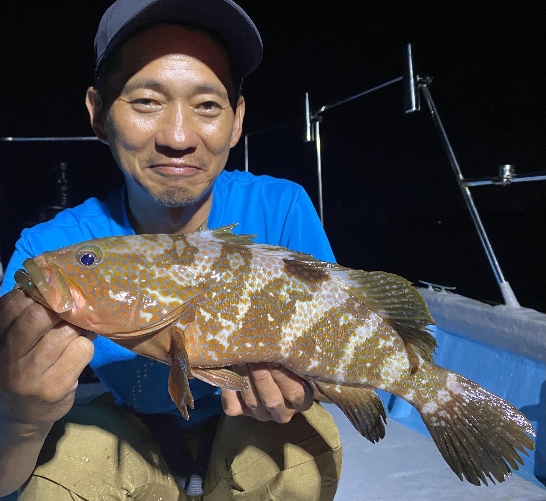 ファブラ（Fábula） item_227_001.jpg