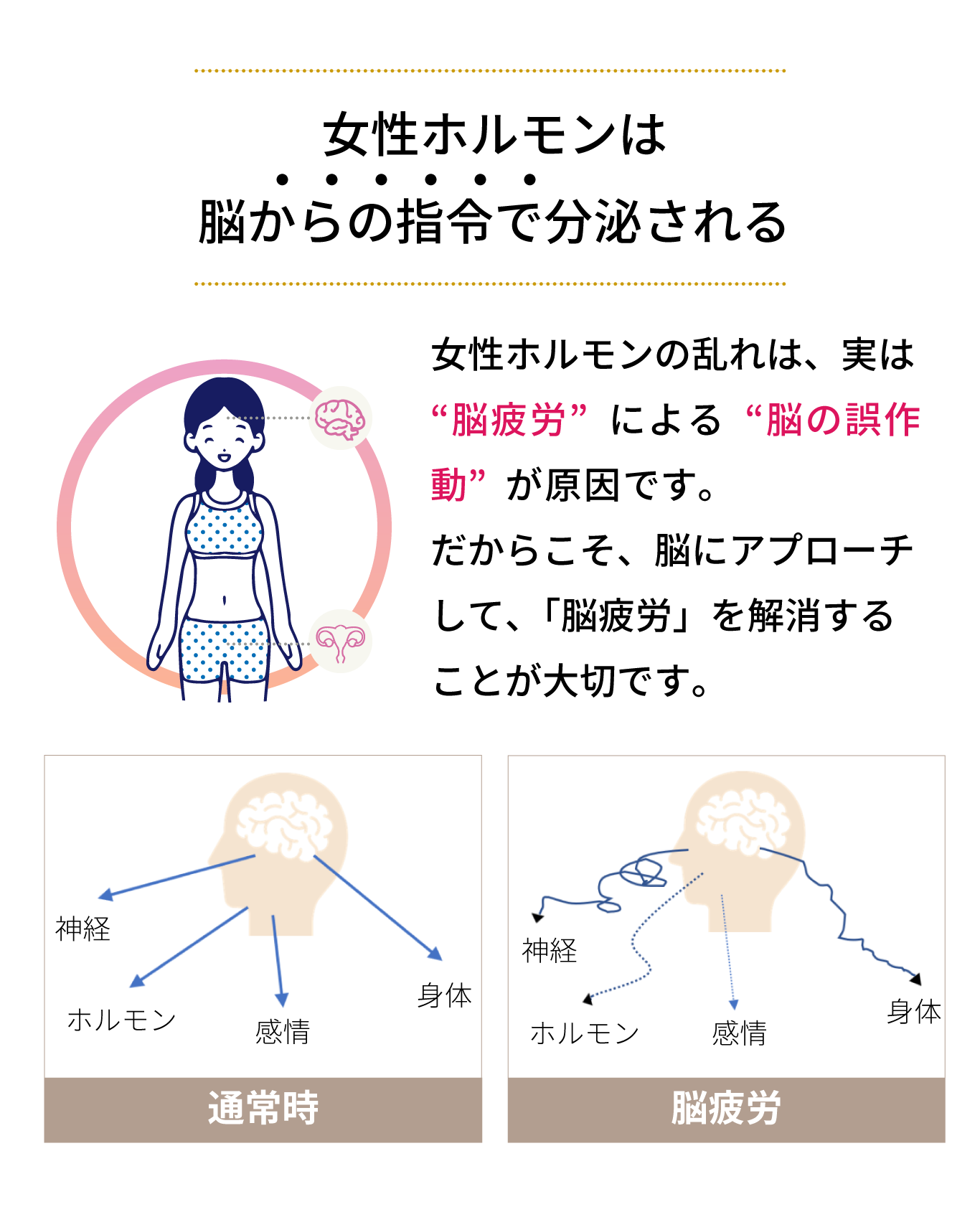 女性ホルモンは 脳からの指令で分泌される！女性ホルモンの乱れは、実は “脳疲労”によるものもです。 だからこそ、脳にアプローチ して、「脳疲労」を解消する ことが大切です。