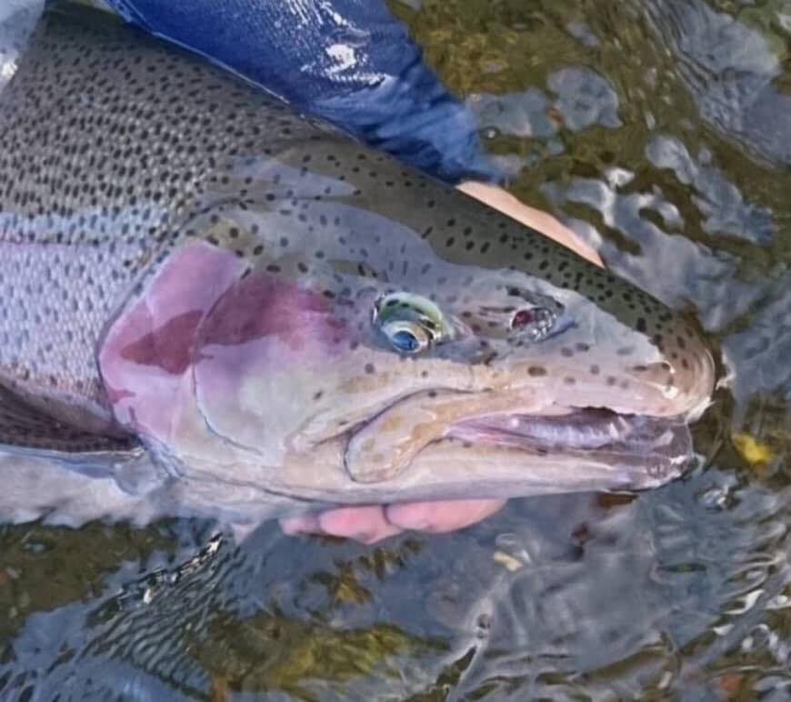 箱根早川ルアーフライ情報リンク 箱根早川ルアーフライ情報リンク