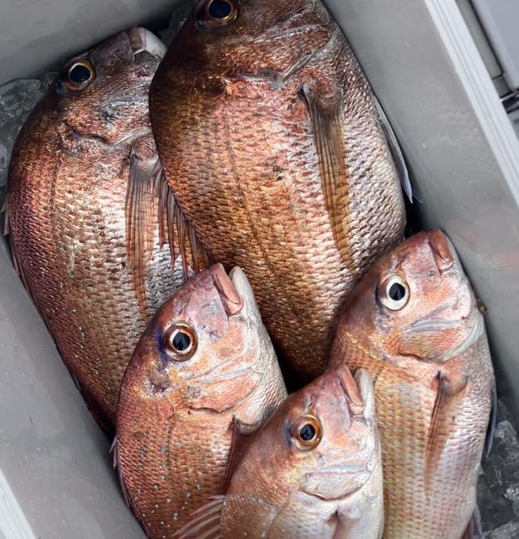 岡山タイラバ初心者