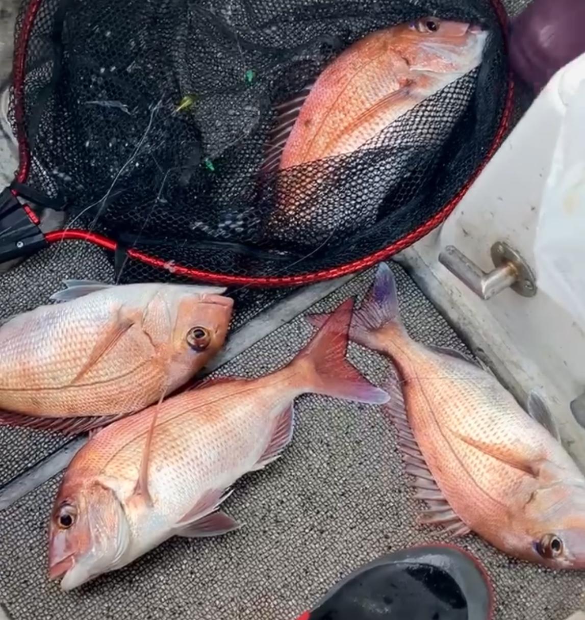 岡山タイラバ初心者