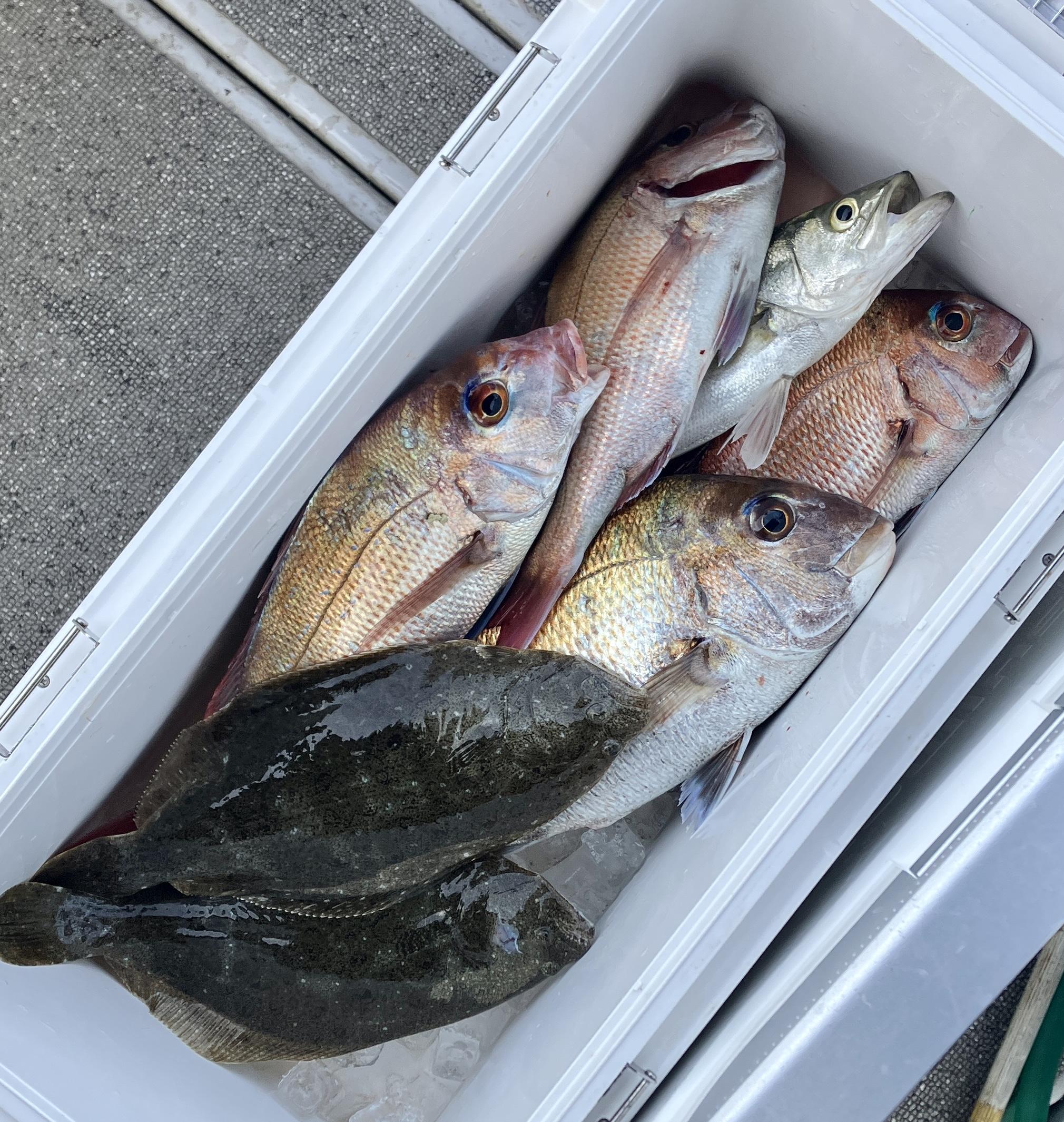 岡山タイラバ初心者