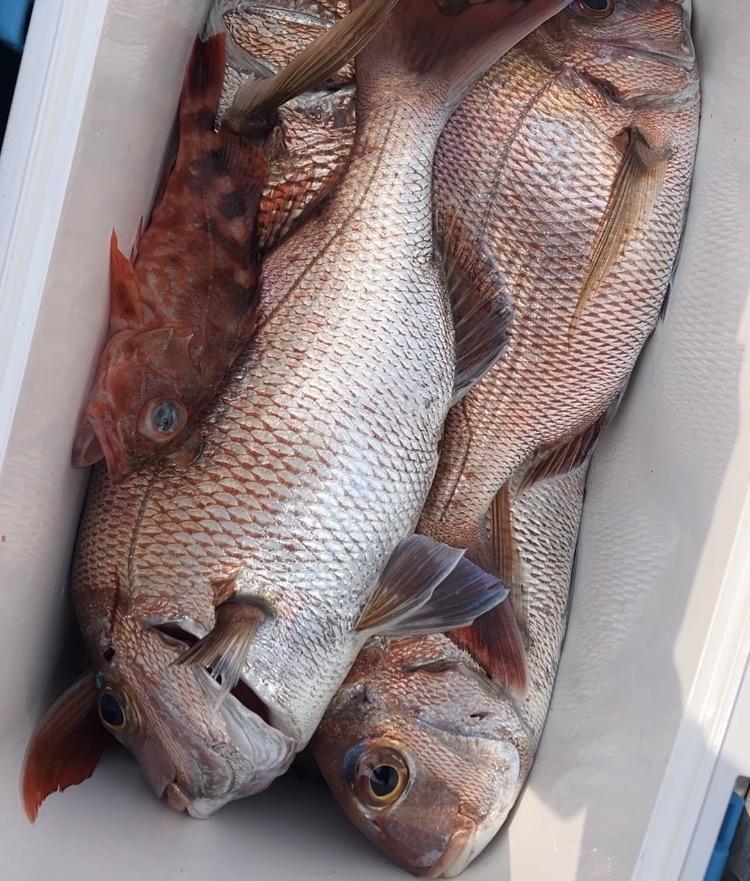 岡山タイラバ初心者