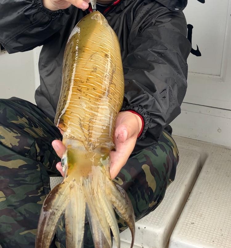 岡山タイラバ船