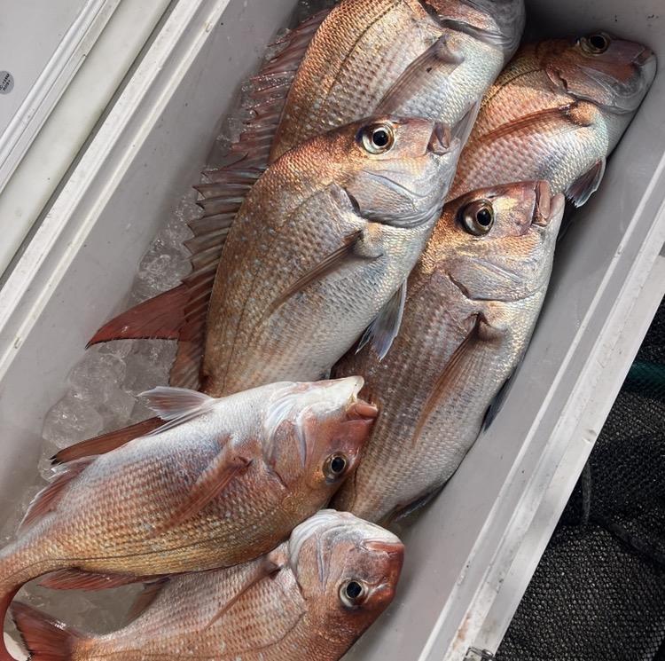 岡山タイラバ初心者