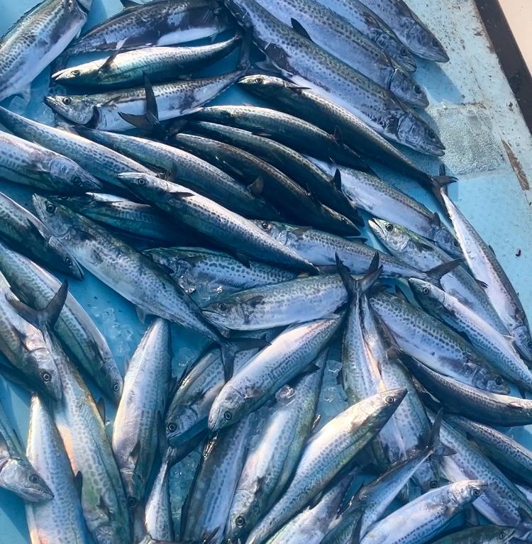 岡山タイラバ船