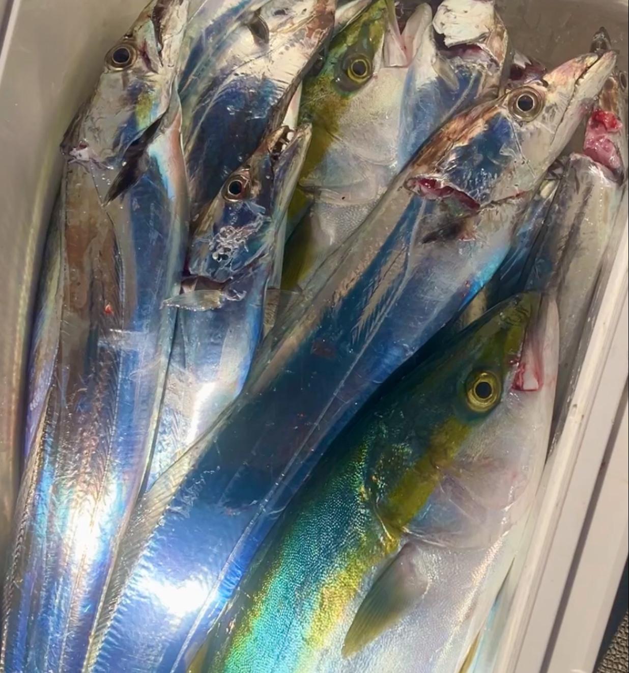 岡山タイラバ船