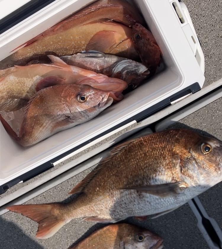 岡山タイラバ初心者