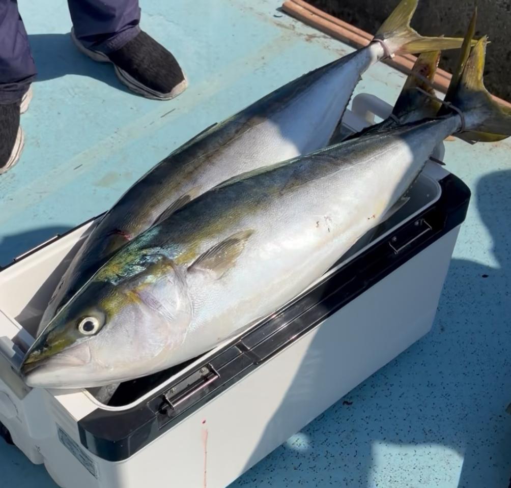 岡山タイラバ初心者