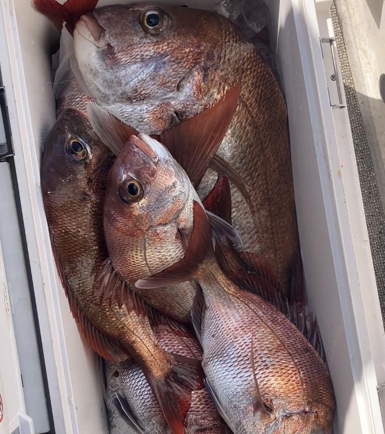 岡山タイラバ初心者