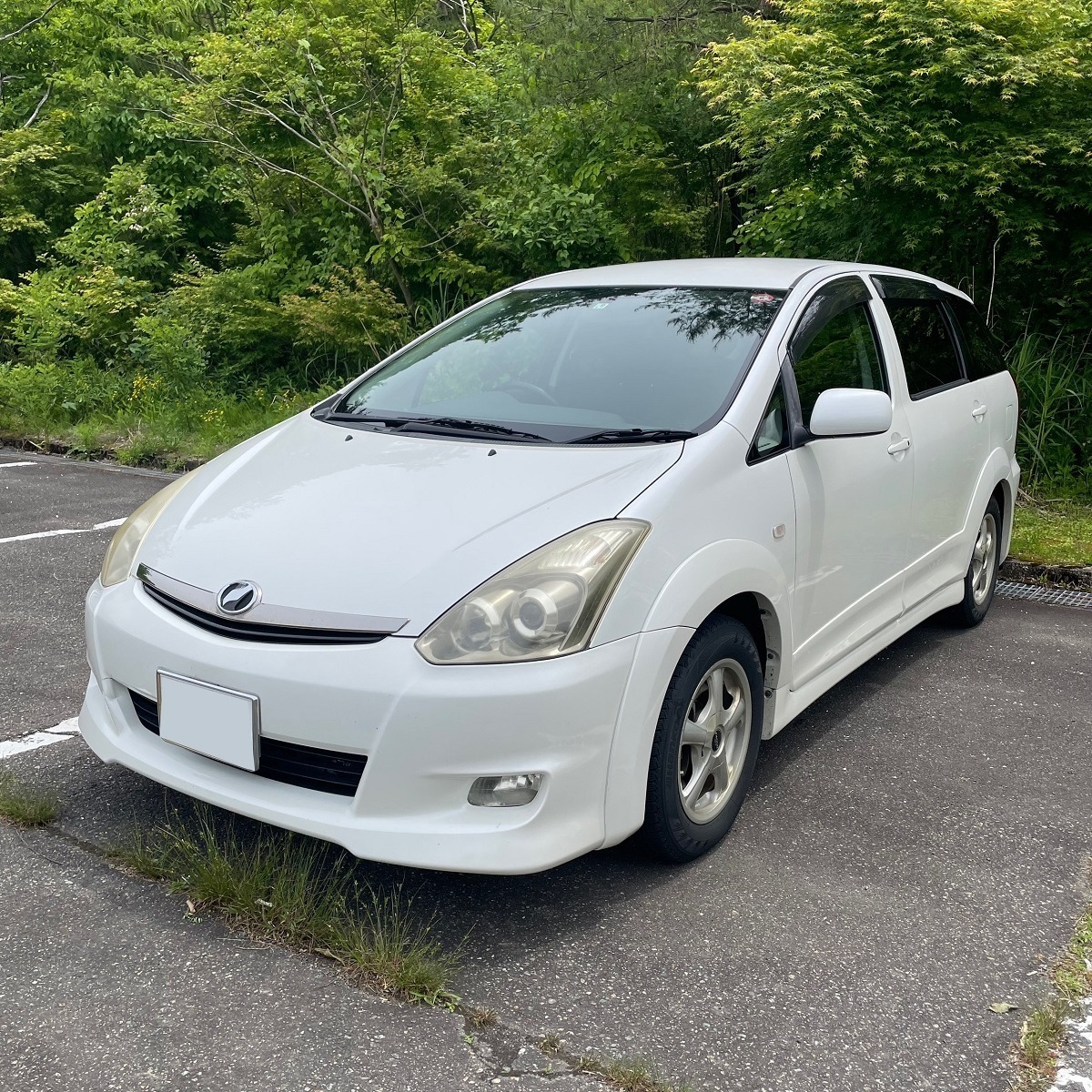 ウィッシュ
