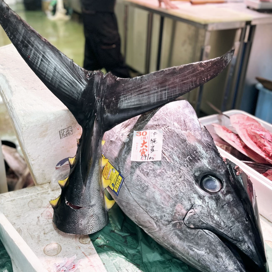 株式会社大寅水産マグロの解体