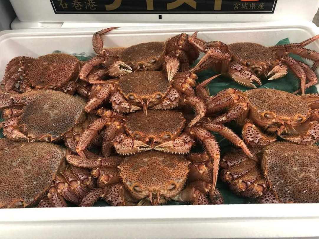 株式会社大寅水産のカニ