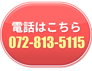 電話で問い合わせ 072-813-5115