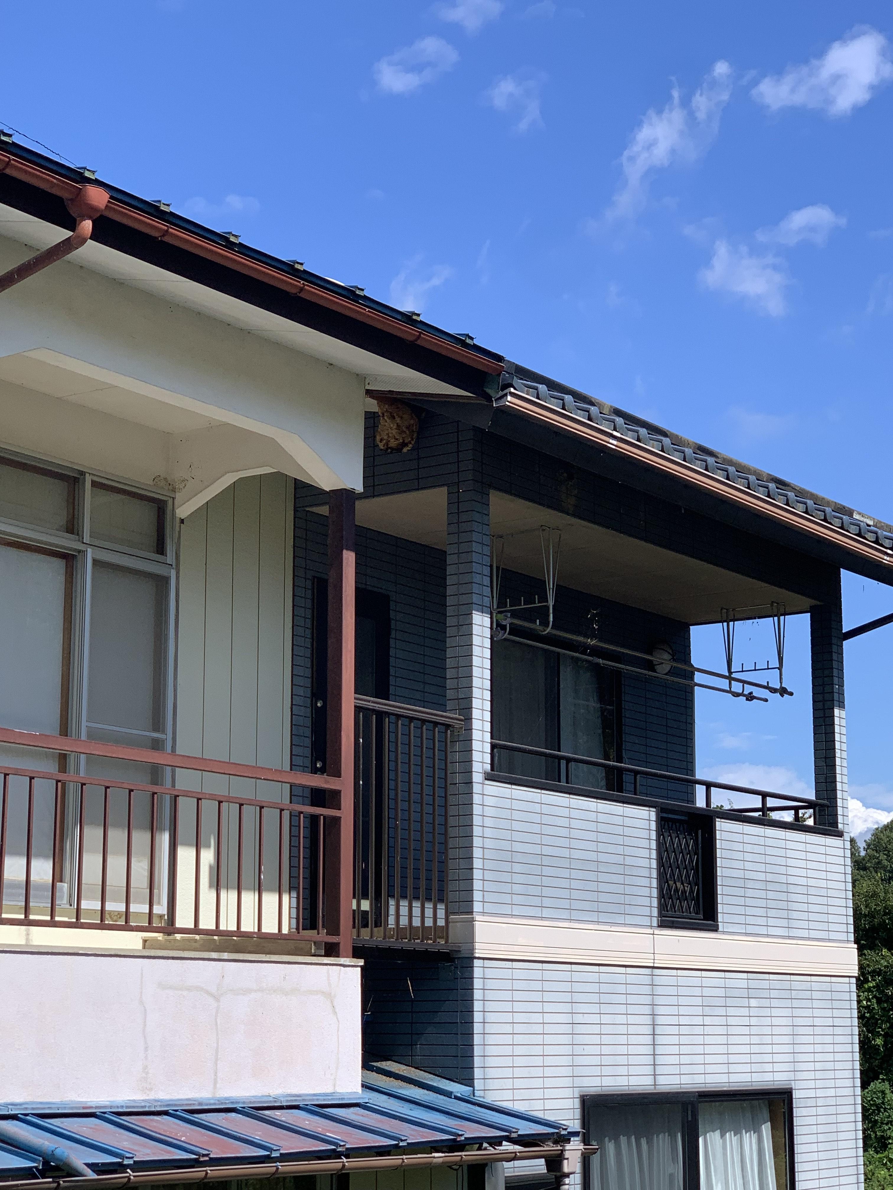 福島市のベランダにできたハチの巣