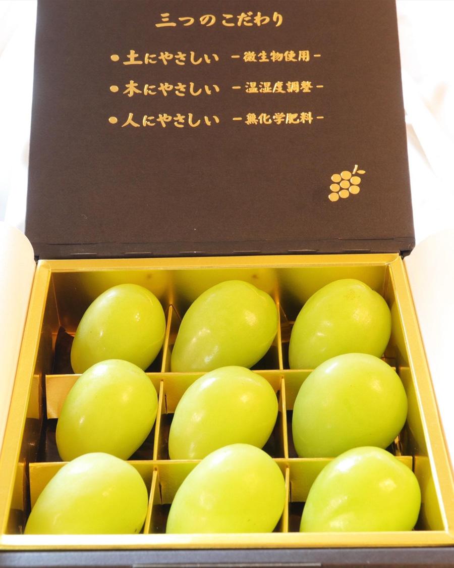 実績4イメージ（仮）