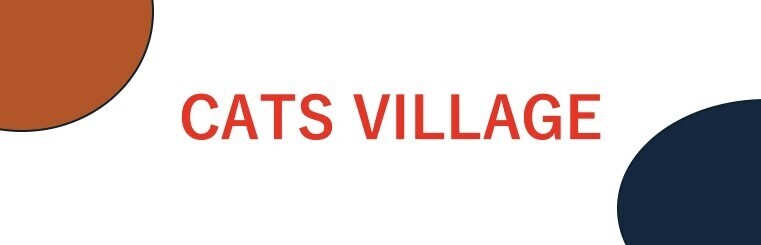 CAT VILLAGE