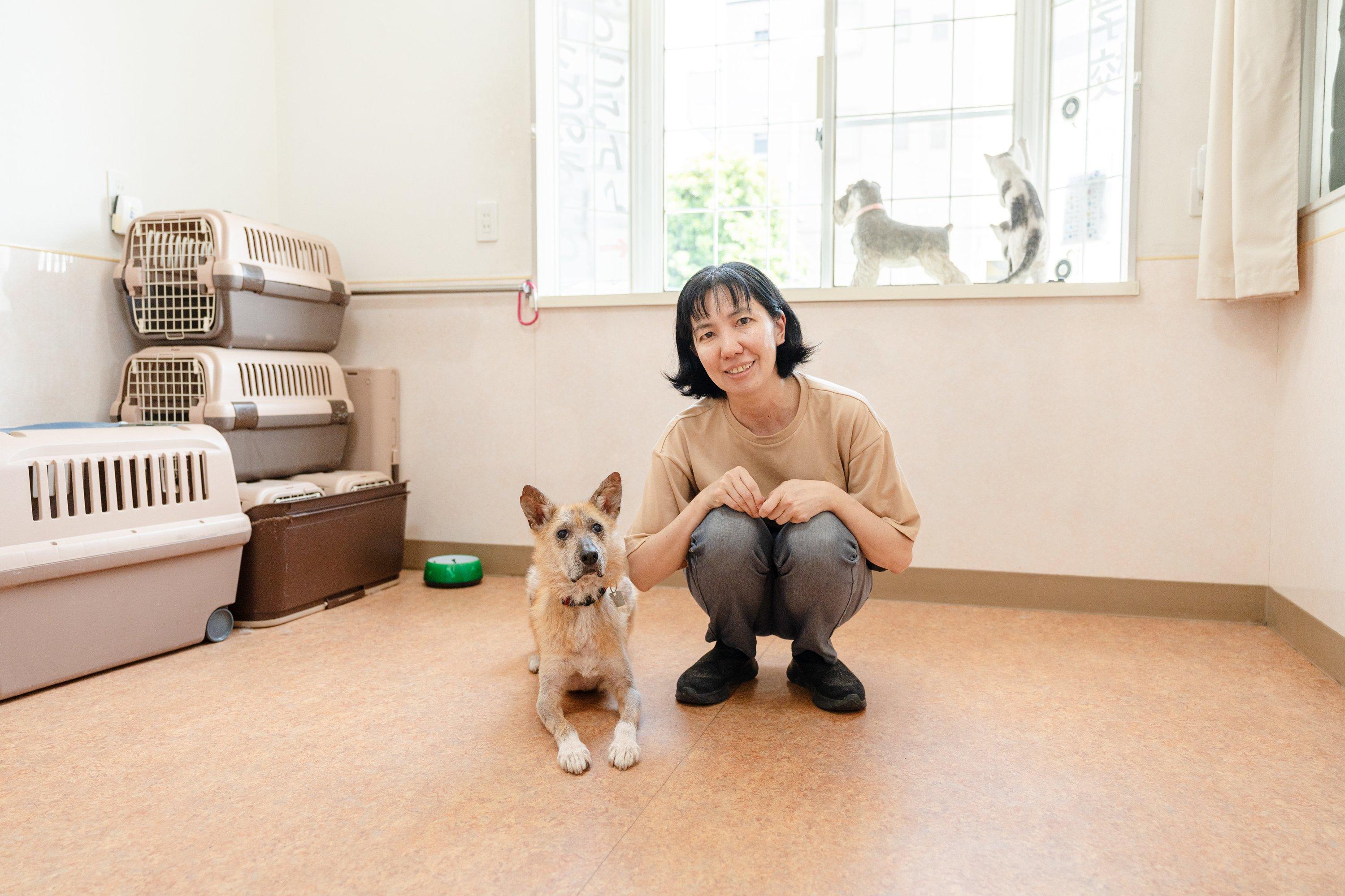 犬の投薬できるかなセミナーの商品画像