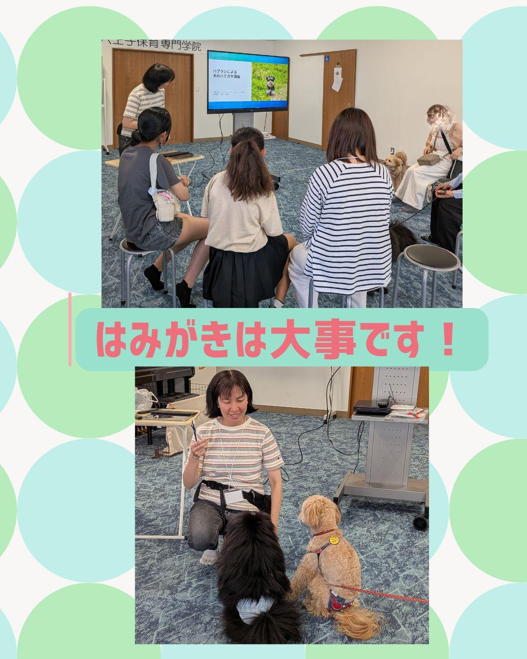 2026/8/23犬の偏食改善＆ダイエットセミナーの商品画像
