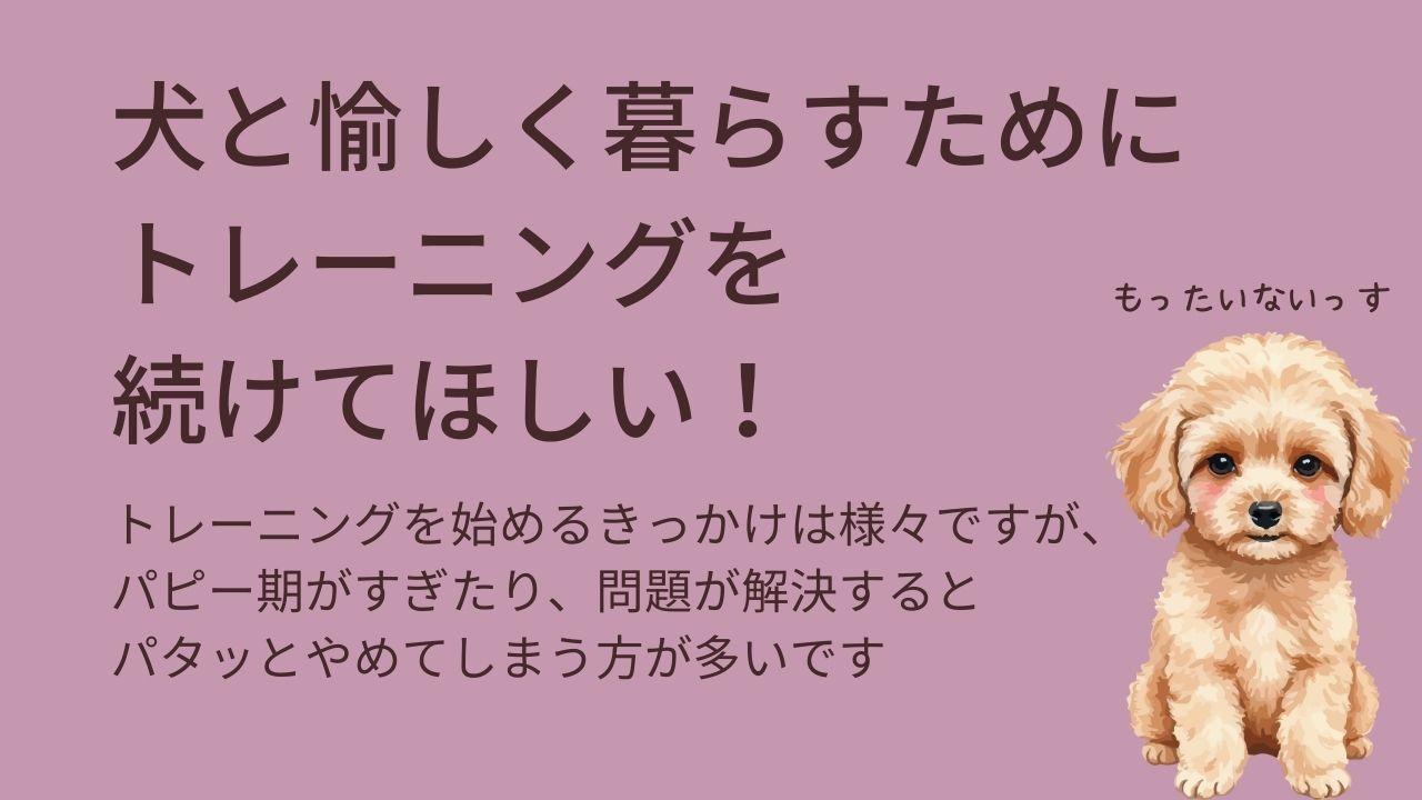 犬と愉しく暮らすためにドッグトレーニングを続けてほしい　ドッグトレーニングを始めるきっかけは様々ですが、パピー期を過ぎたり、問題が解決するとパタッとトレーニングを止めてしまう方が多いです