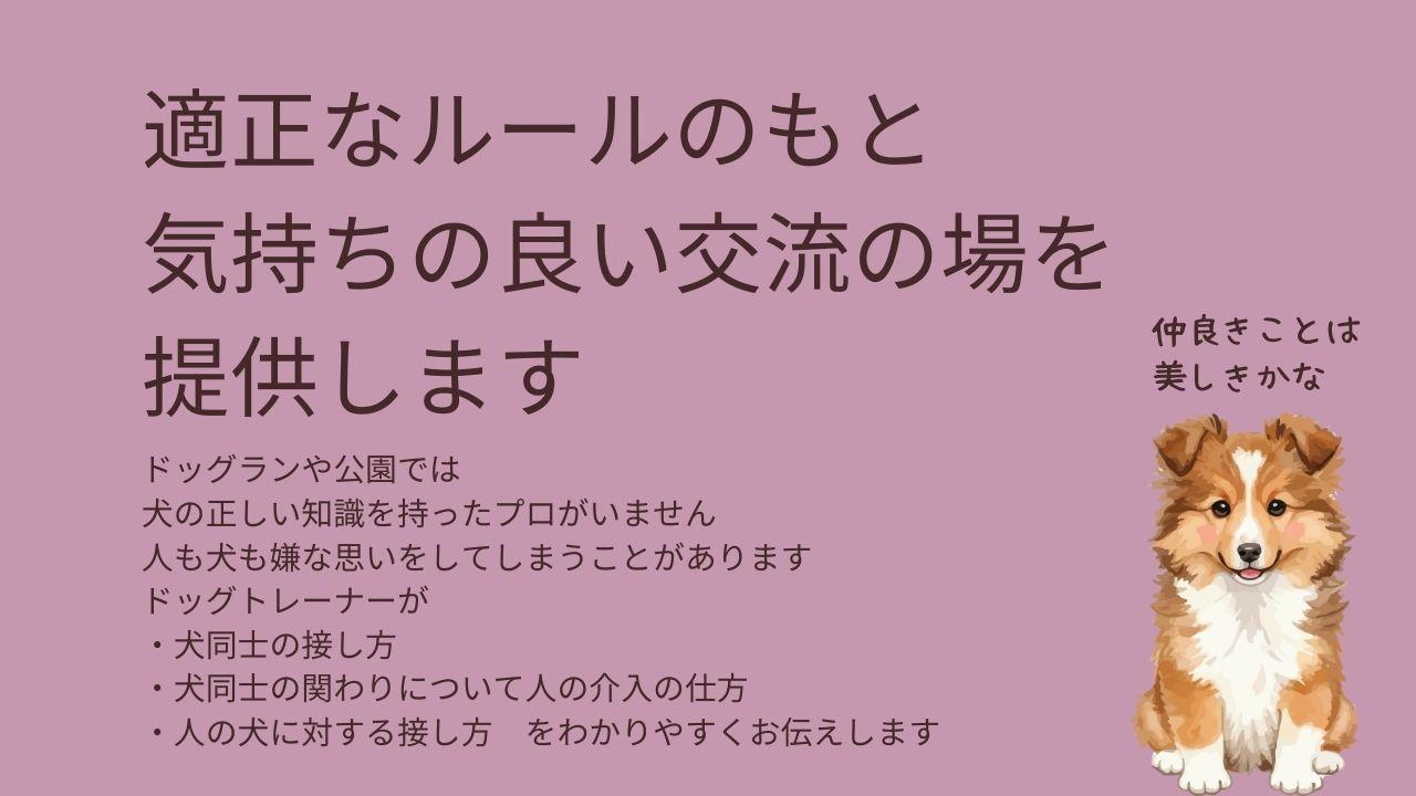 犬のプロがいて適正なルールの元、気持ちの良い交流の場を提供します。ドッグランや公園では専門家ではない誰かの謎のルールで嫌な思いをしてしまうことがあります。