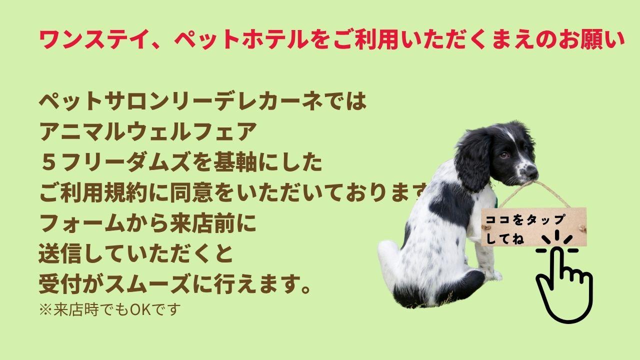 ワンステイ、ペットホテルをご利用いただくまえのお願い  ペットサロンリーデレカーネでは アニマルウェルフェア ５フリーダムズを基軸にした ご利用規約に同意をいただいております。 フォームから来店前に 送信していただくと 受付がスムーズに行えます。 ※来店時でもOKです