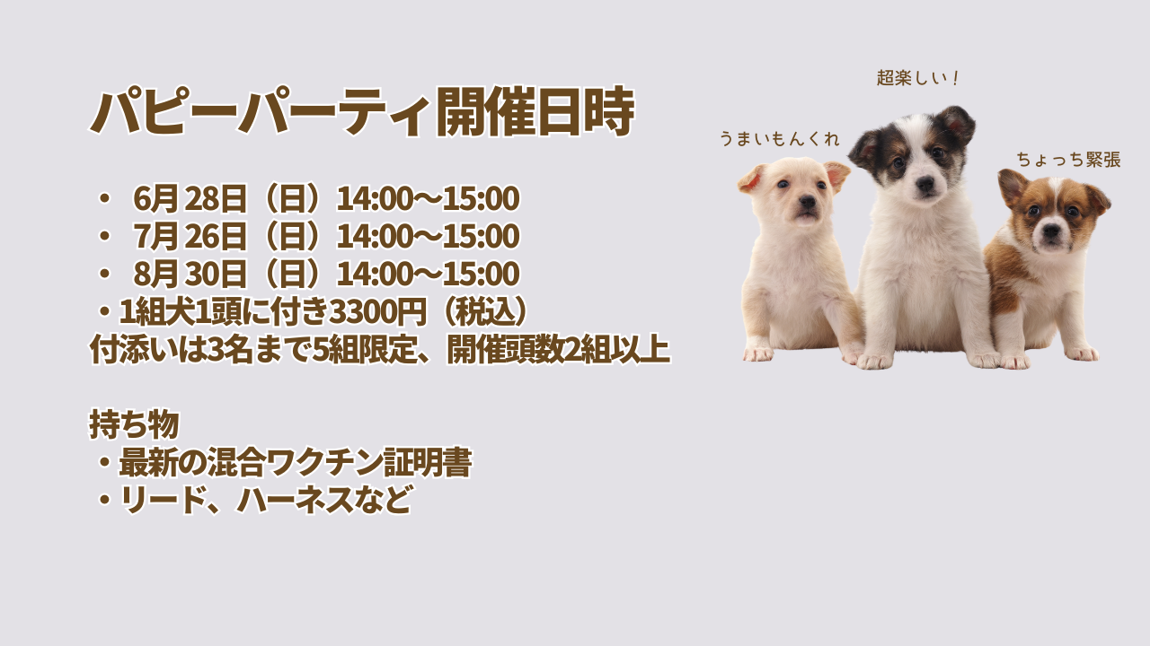 パピーパーティ開催日時  ・   3月 29日（日）14:00～15:00 ・   4月 26日（日）14:00～15:00 ・   5月 31日（日）14:00～15:00 ・1組犬1頭に付き3300円（税込） 付添いは3名まで5組限定、開催頭数2組以上  持ち物 ・最新の混合ワクチン証明書 ・リード、ハーネスなど