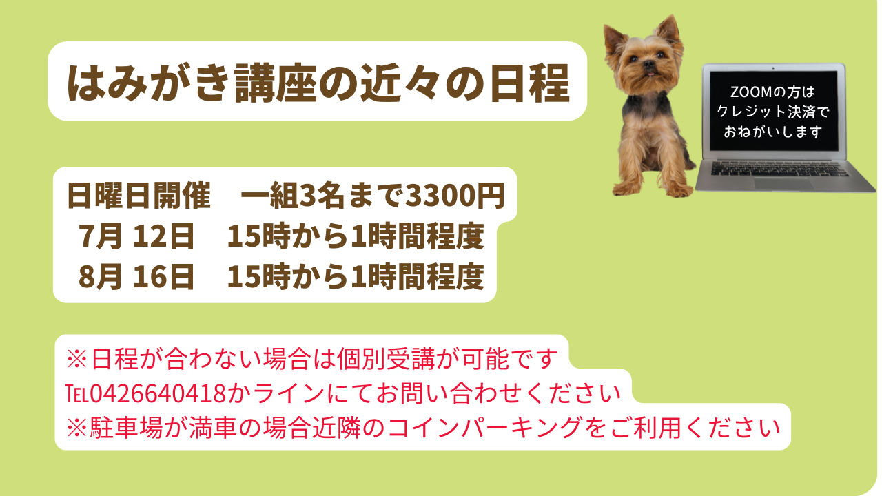 はみがき講座の近々の日程　日曜日　15時～16時開催   2月 15日   3月 22日   4月 19日　※日程が合わない場合は 個別受講が可能ですので 直接お問い合わせください