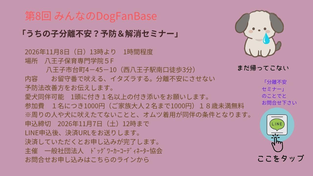 犬のステイ、マテ練習。落ち着きのない犬に必要なトレーニングを、楽しくグループレッスンします。