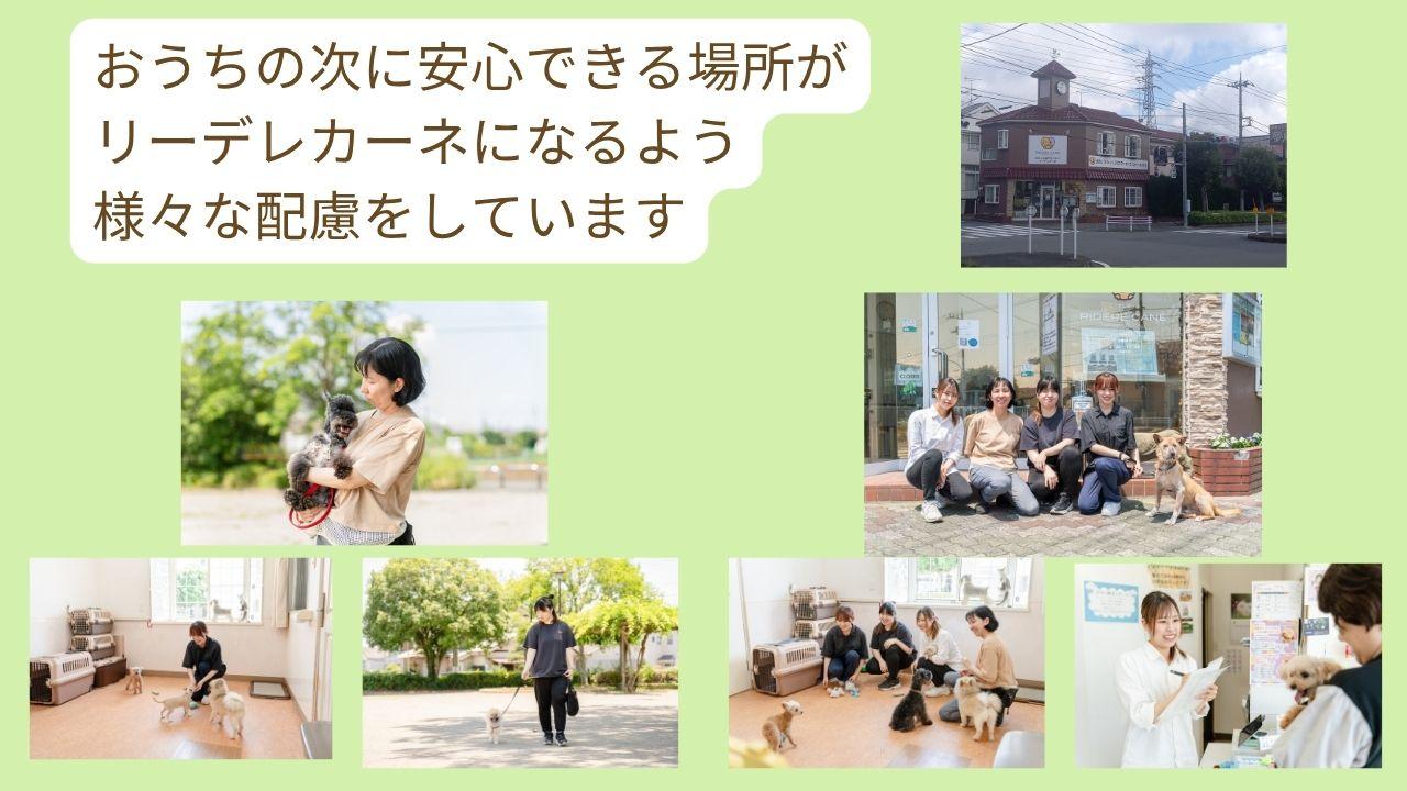 おうちの次に安心できる場所が リーデレカーネになるよう 様々な配慮をしています