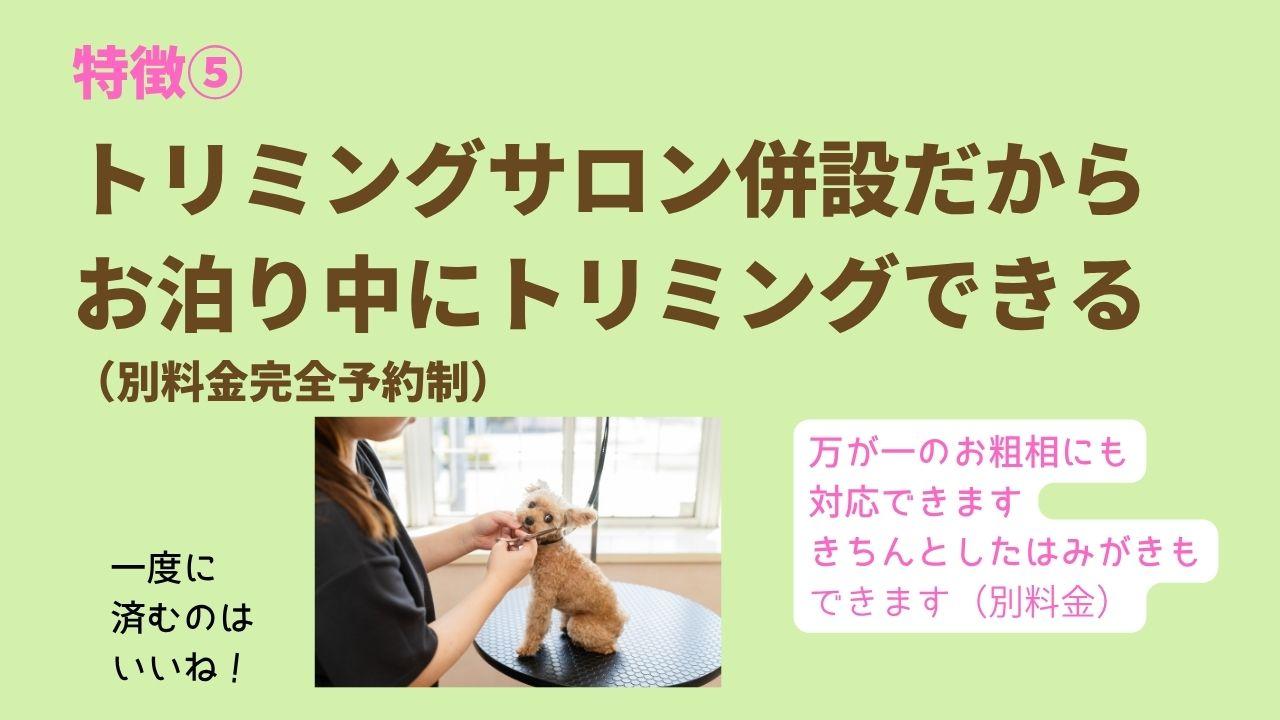 トリミングサロン併設だから お泊り中にトリミングできる （別料金完全予約制）万が一のお粗相にも 対応できます きちんとしたはみがきも できます（別料金）