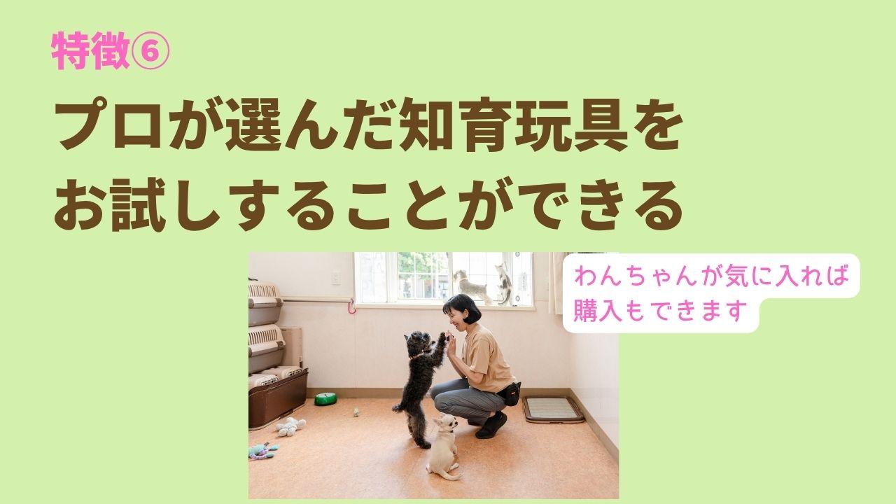 プロが選んだ知育玩具を お試しすることができるわんちゃんが気に入れば 購入もできます