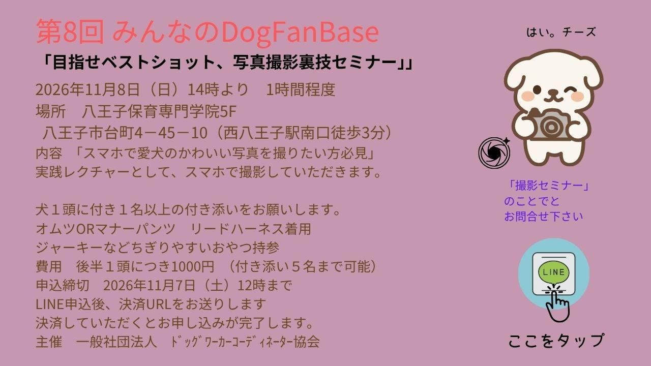 犬のステイ、マテ練習。落ち着きのない犬に必要なトレーニングを、楽しくグループレッスンします。