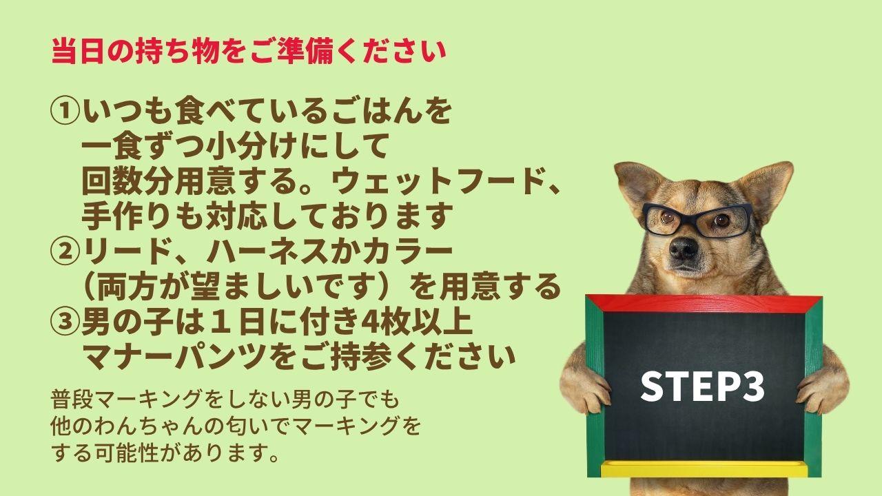 当日の持ち物をご準備ください①いつも食べているごはんを 　一食ずつ小分けにして 　回数分用意する。ウェットフード、 　手作りも対応しております ②リード、ハーネスかカラー 　（両方が望ましいです）を用意する ③男の子は１日に付き4枚以上 　マナーパンツをご持参ください普段マーキングをしない男の子でも 他のわんちゃんの匂いでマーキングを する可能性があります。