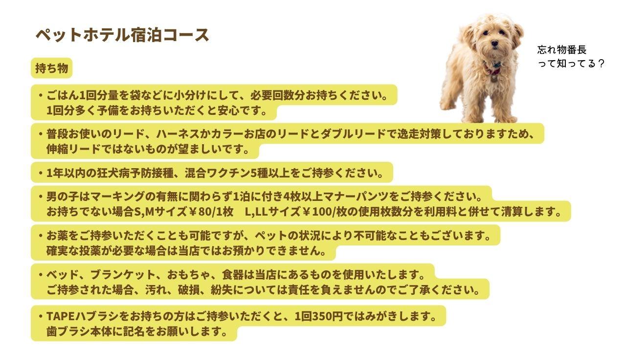 ペットホテル宿泊コース持ち物ごはん1回分量を袋などに小分けにして、必要回数分お持ちください。 　1回分多く予備をお持ちいただくと安心です。普段お使いのリード、ハーネスか首輪お店のリードとダブルリードで逸走対策しておりますため、 　伸縮リードではないものが望ましいです。1年以内の狂犬病予防接種、混合ワクチン5種以上をご持参ください。男の子はマーキングの有無に関わらず1泊に付き4枚以上マナーパンツをご持参ください。 　お持ちでない場合S,Mサイズ￥80/1枚　L,LLサイズ￥100/枚の使用枚数分を利用料と併せて清算します。お薬をご持参いただくことも可能ですが、ペットの状況により不可能なこともございます。 　確実な投薬が必要な場合は当店ではお預かりできません。ベッド、ブランケット、おもちゃ、食器は当店にあるものを使用いたします。 　ご持参された場合、汚れ、破損、紛失については責任を負えませんのでご了承ください。TAPEハブラシをお持ちの方はご持参いただくと、1回350円ではみがきします。 　歯ブラシ本体に記名をお願いします。
