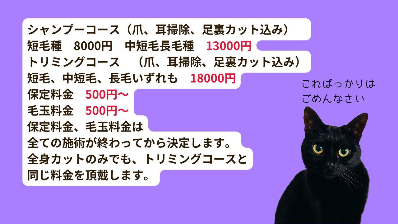 動物病院ではないので 鎮静剤は一切使いません　猫は一度怒ってしまうと 作業を続けることは困難です 途中でも お返しすることがあります ※年３回あるかないか程度ですが…