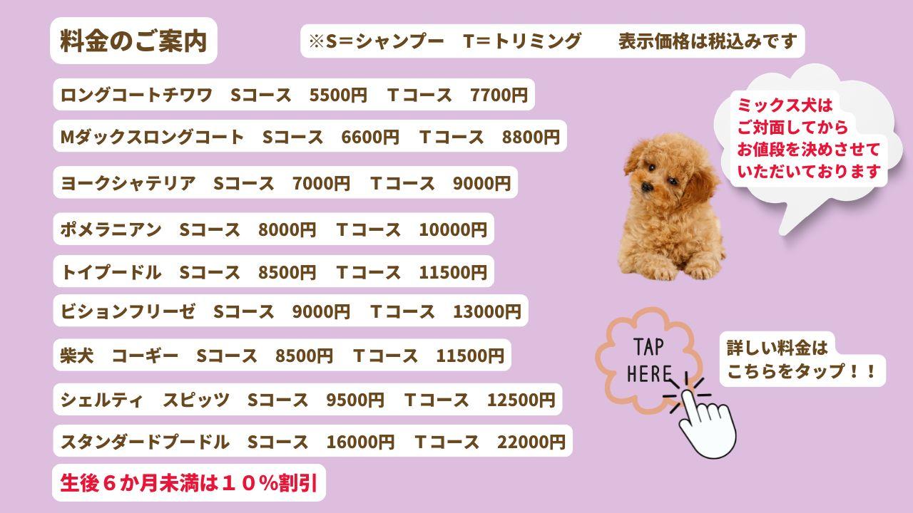 毎月背景が変わる かわいいお写真が もらえますお預かり中のかわいい愛犬の様子や 他のお友達もインスタグラムやHPからチェック！ 記念になると大変喜ばれていますバースデー月は特別なお写真もプレゼント