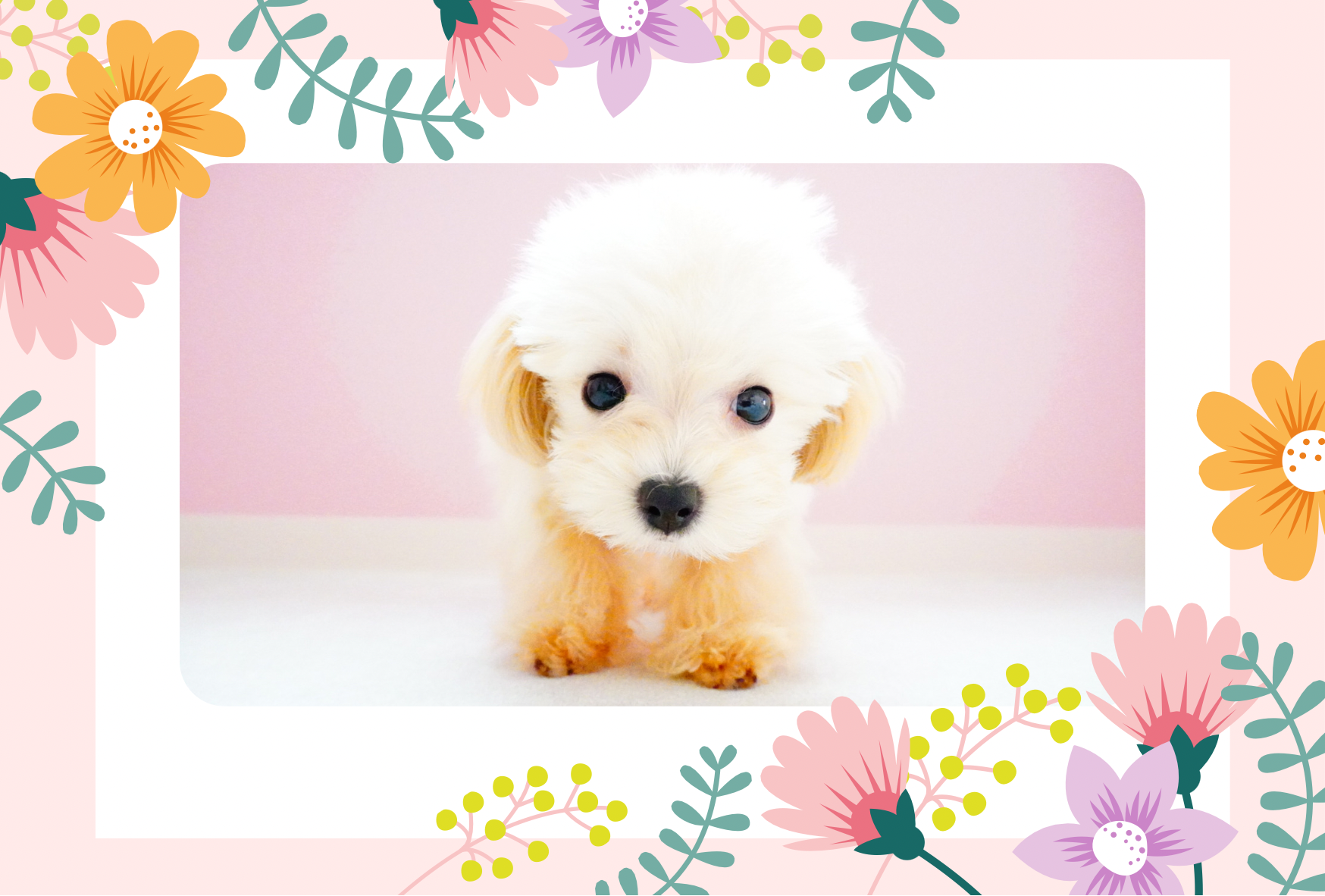 【公式】マイクロティーカップカフェ浅草／Micro Tea Cup Cafe浅草