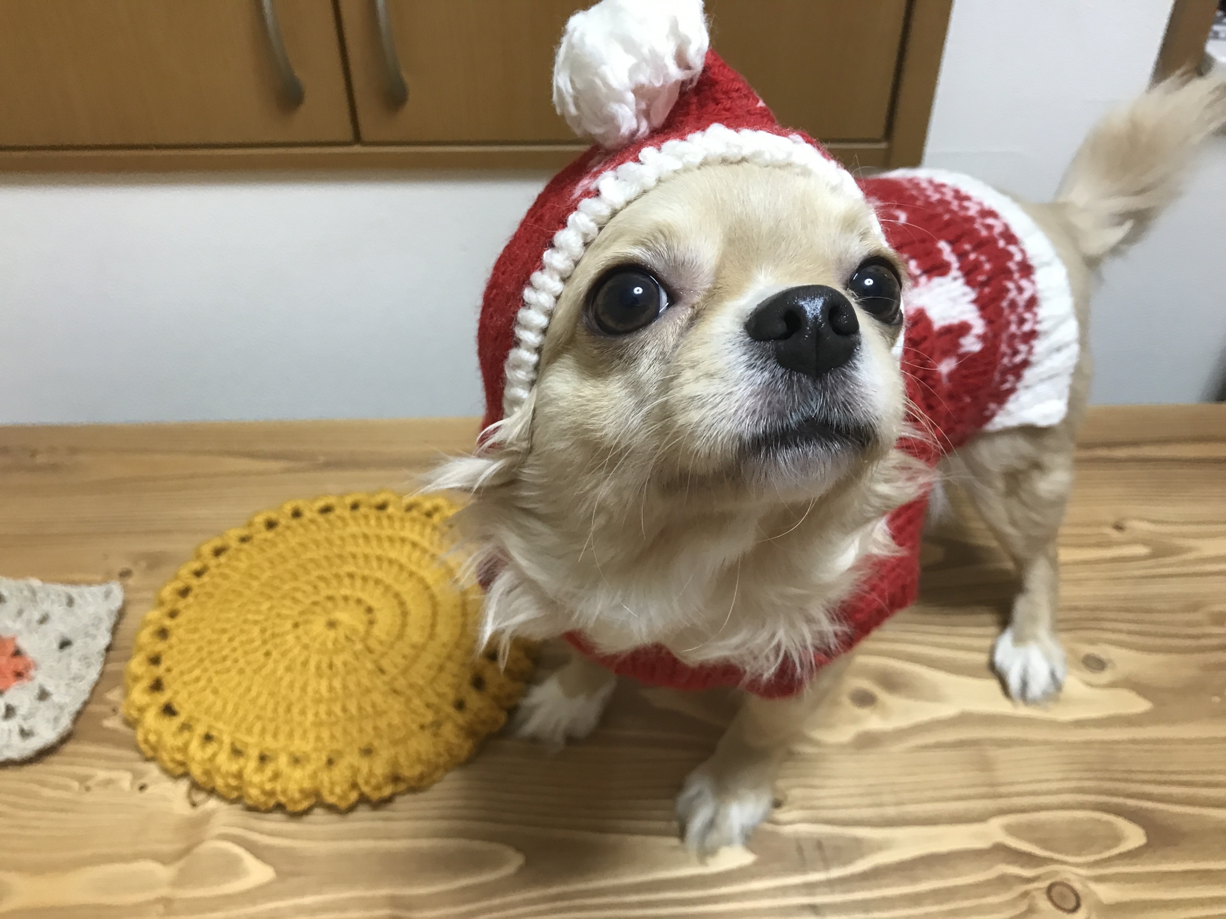 編み物教室　初心者