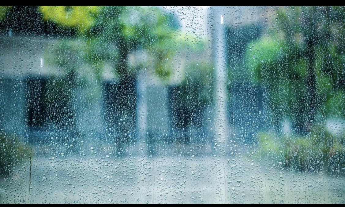 梅雨入り　雨の風景