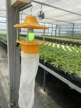 農業用捕虫器　畑　ビニールハウス　害虫対策