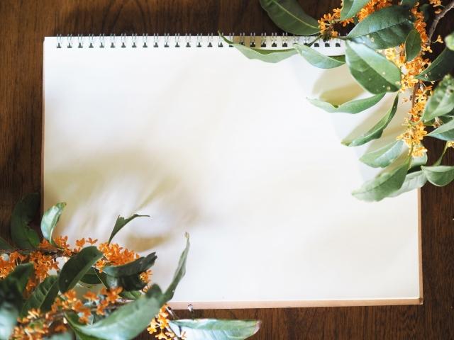 顔コリほぐし マジェンタ･ワコ Magenta waco ｵﾌﾟｼｮﾝ