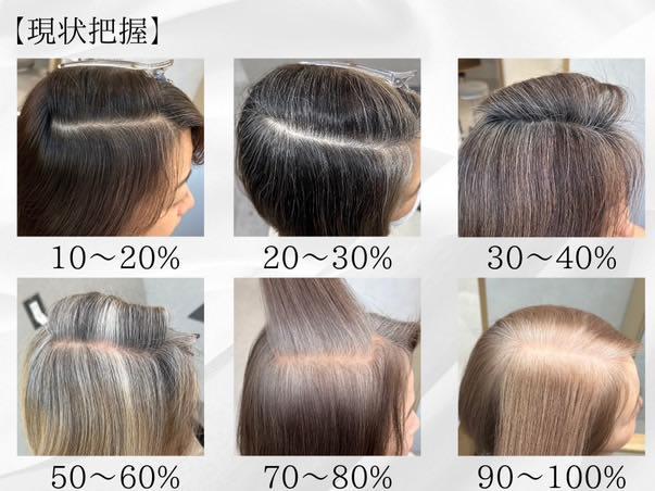 白髪率10%から100%までの見え方の違い