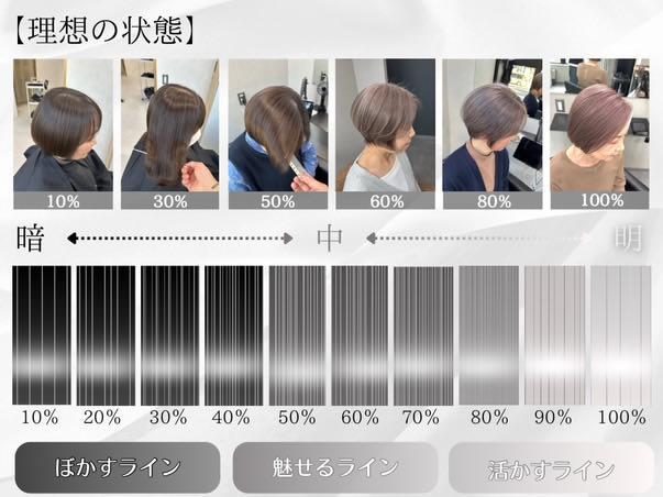 白髪率ごとの仕上がりの例