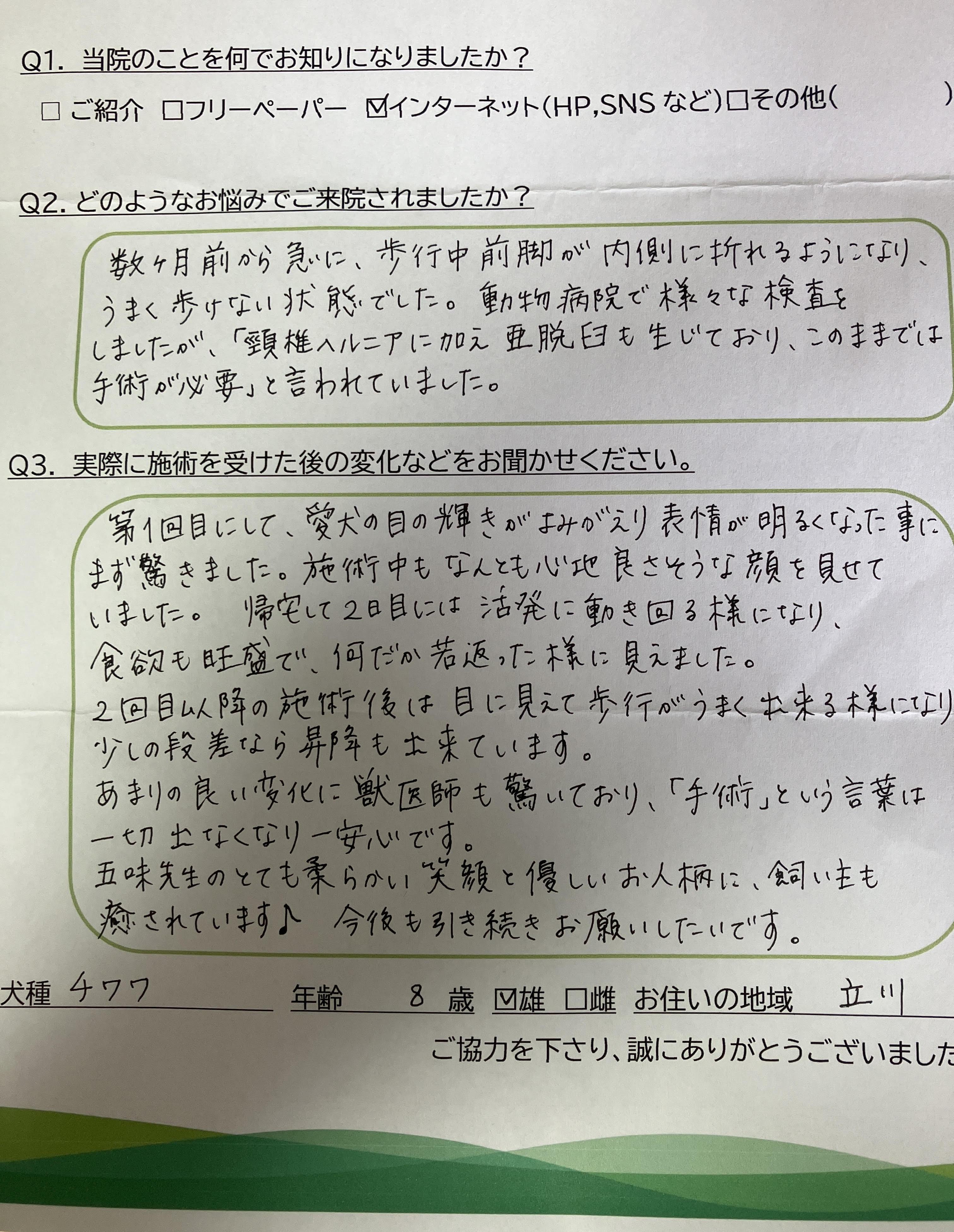 犬の整体仙骨堂のお客様のお声　シーズー