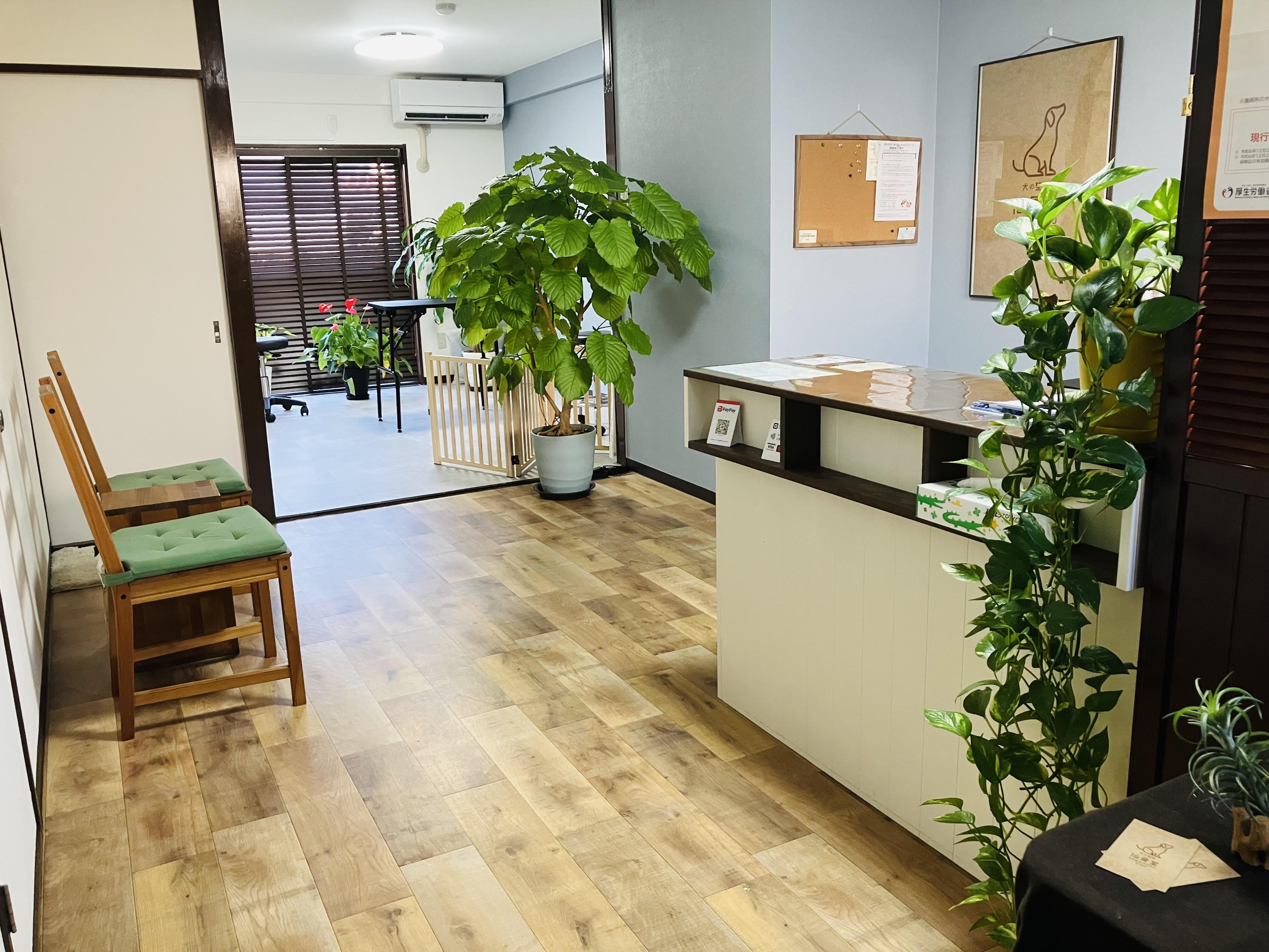 犬の整体仙骨堂　室内風景