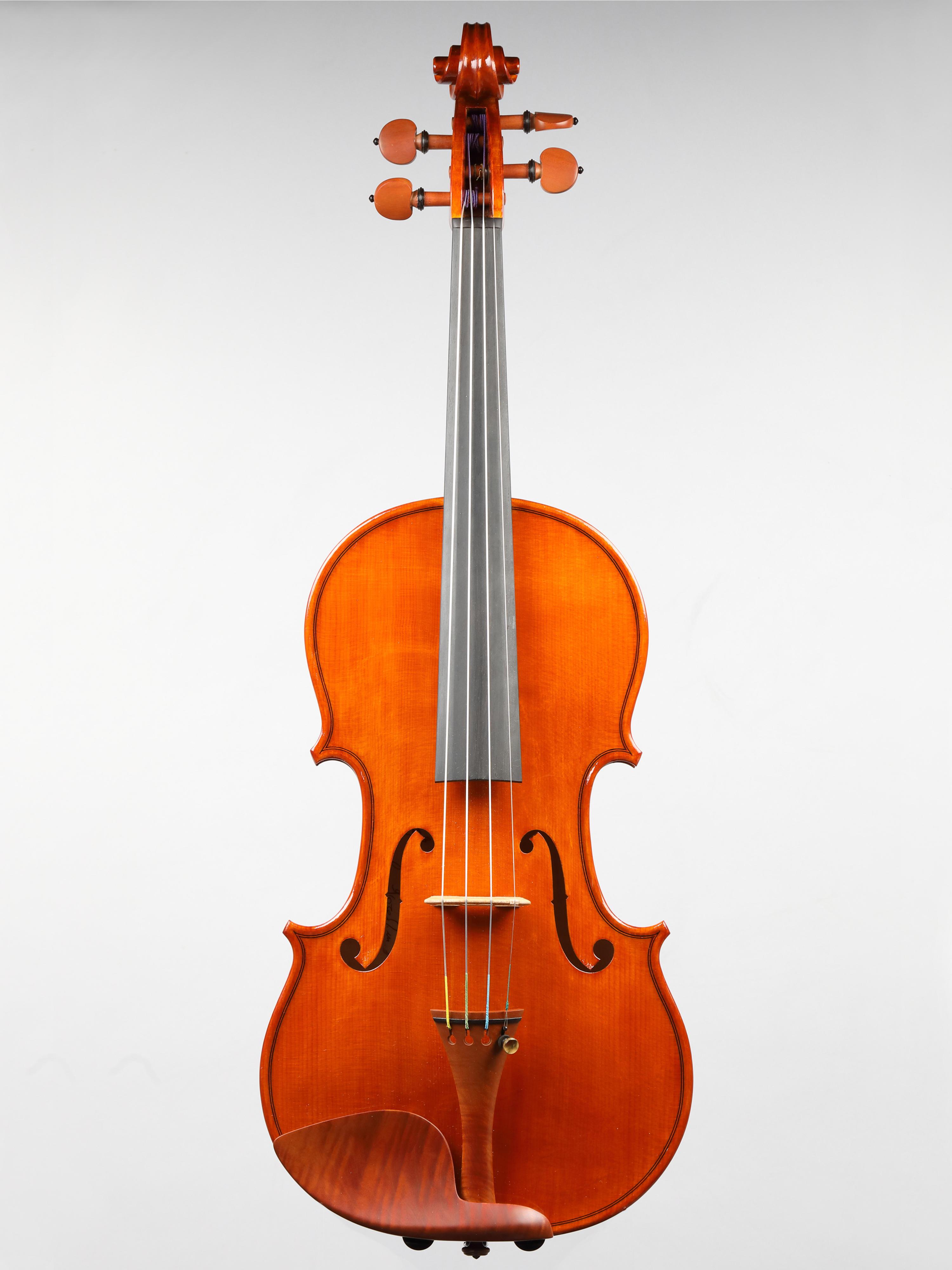 Danilo Fiorentini  Violin 2025 Cremaの商品画像