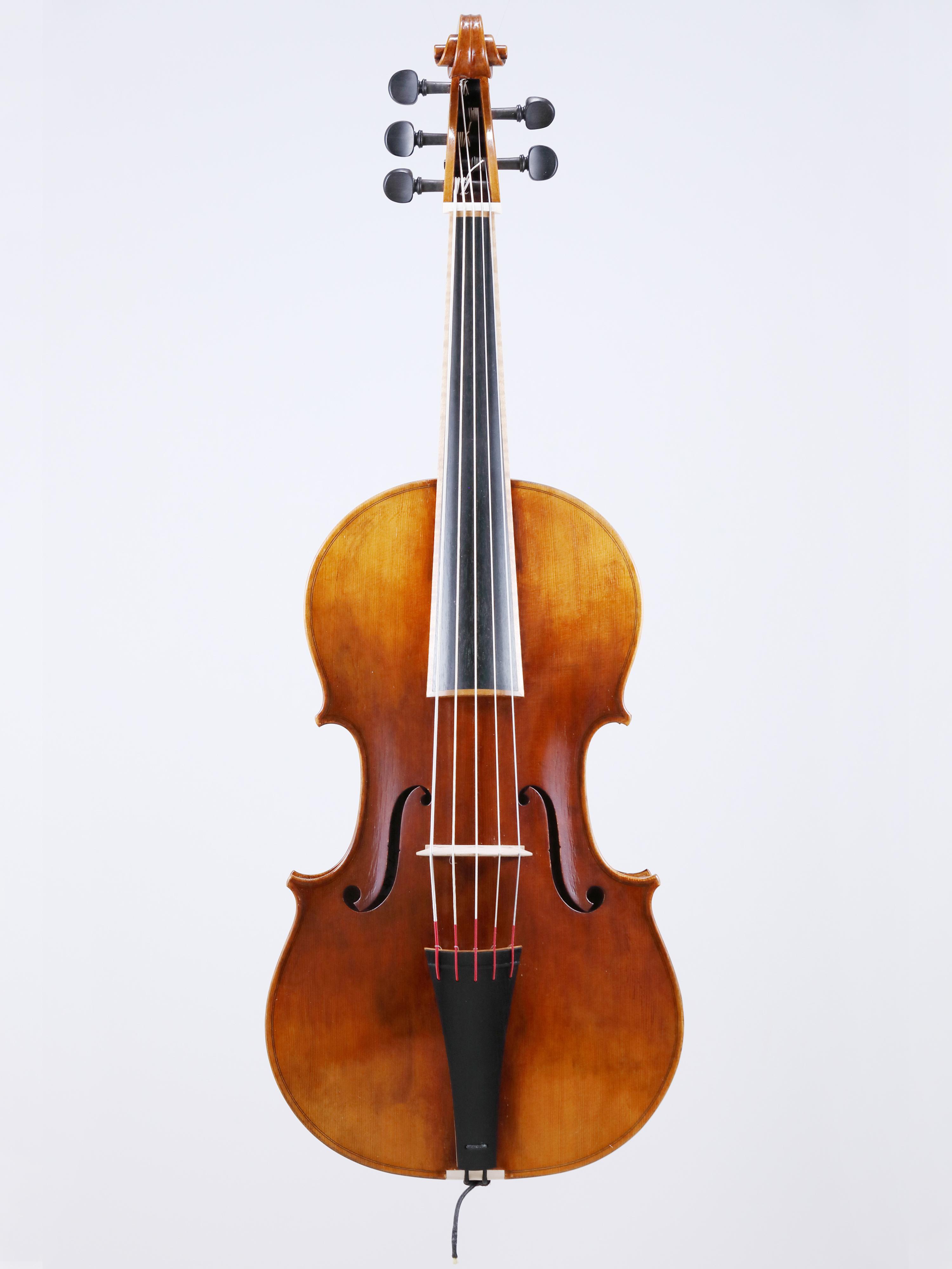 LaStellinaStrings