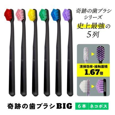 奇跡の歯ブラシBIG ネコポス便の商品画像
